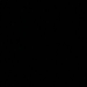 Meet your Posher, Isaac